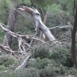 lokrum nevrijeme 070117 3