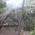 lokrum nevrijeme 070117 5