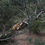 lokrum nevrijeme 070117 6