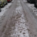 montovjerna zaledena 1