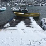 orsan snijeg 11012017 26