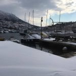 orsan snijeg 11012017 43