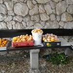 snijeg dubrovnik 110120173
