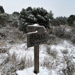snijeg konavle 2