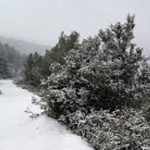 snijeg konavle 4