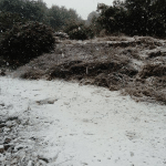 snijeg korcula 16 1 2017 7