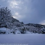 snijeg lopud 11012017 1