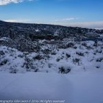 snijeg lopud 11012017 4