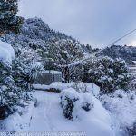 snijeg lopud 11012017 6