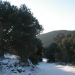 snijeg mljet 7