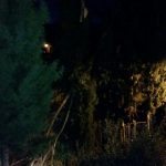 vatrogasci bura 1