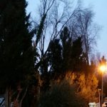vatrogasci bura 2