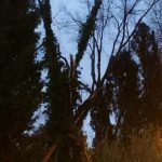 vatrogasci bura 3