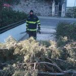 vatrogasci nevrijeme vjetar drvece 070117 3