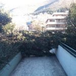vatrogasci nevrijeme vjetar drvece 070117 4
