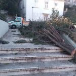 vatrogasci nevrijeme vjetar drvece 070117 6