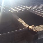 veslanje krov neptun 2