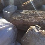 veslanje krov neptun 3