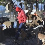 zarkovica stacionar 13