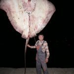 Zutuga dracorepka Ulov 10