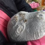 eko omblici vandalizam4