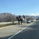 Kad na cesti kroz Župu sretneš konjsku zapregu! 1 konji zupa