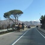 Kad na cesti kroz Župu sretneš konjsku zapregu! 2 konjska zaprega zupa