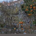 mitrovic marinovic kantafig0 7