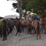 robin hood dominikanci 100
