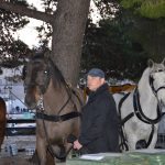 robin hood dominikanci 53