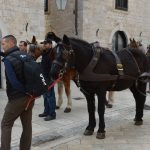 robin hood stradun 270217 14
