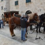 robin hood stradun 270217 15