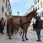 robin hood stradun 270217 19