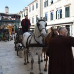 robin hood stradun 270217 20