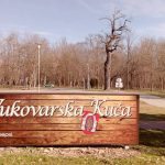 HRM Dubrovnik u Vukovaru 22