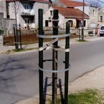 Lipe Korcula 2