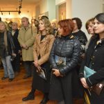 dmp pozar piplica 11
