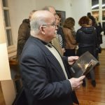 dmp pozar piplica 5