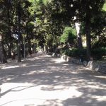 gradac 240317 2