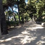 gradac 240317 3