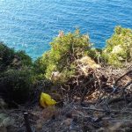 gradac 240317 7