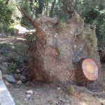 gradac 240317 8