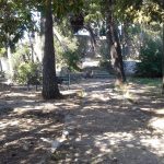 gradac 240317 9