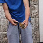 kamenice stradun 250317 18