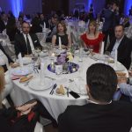 merit libertas 15