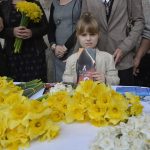 narcisi 17