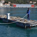 orsan ponton 40