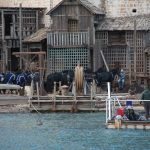 robin hood pozar posat 060317 7