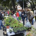 sajam cvijeca 30