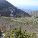 snjeznica dan zena 110317 23